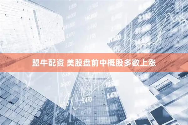 盟牛配资 美股盘前中概股多数上涨
