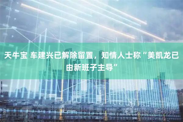 天牛宝 车建兴已解除留置，知情人士称“美凯龙已由新班子主导”