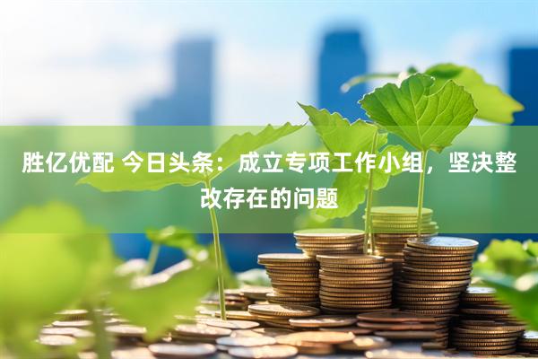 胜亿优配 今日头条：成立专项工作小组，坚决整改存在的问题