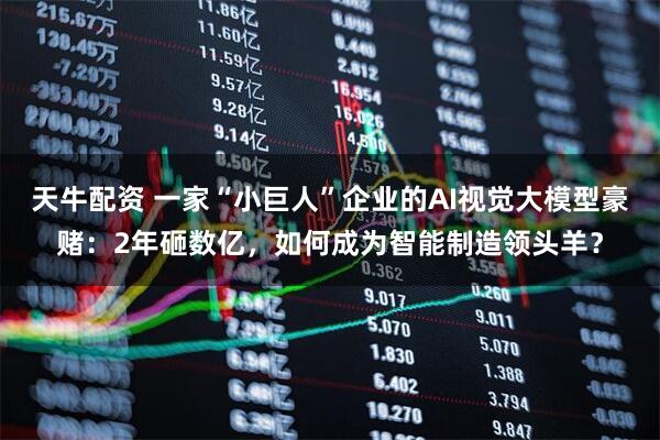 天牛配资 一家“小巨人”企业的AI视觉大模型豪赌：2年砸数亿，如何成为智能制造领头羊？