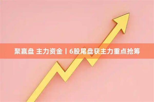 聚赢盘 主力资金丨6股尾盘获主力重点抢筹