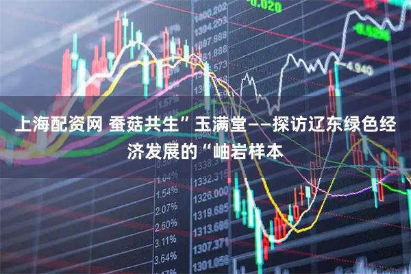 上海配资网 蚕菇共生”玉满堂——探访辽东绿色经济发展的“岫岩样本